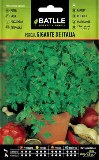 PEREJIL GIGANTE D'ITALIA