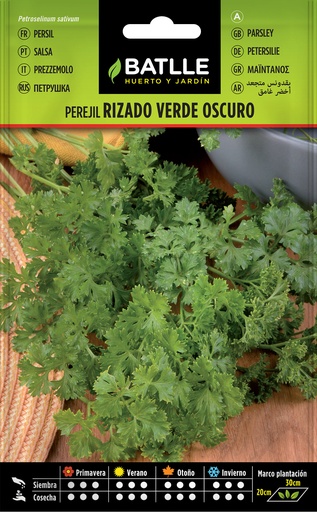 PEREJIL RIZADO VERDE OSCURO