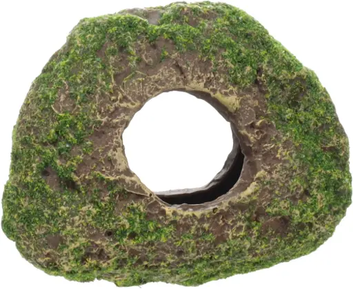 PIEDRA CON AGUJERO Y MUSGO  