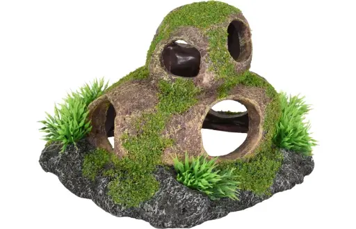 PIEDRA CON AGUJERO Y MUSGO 