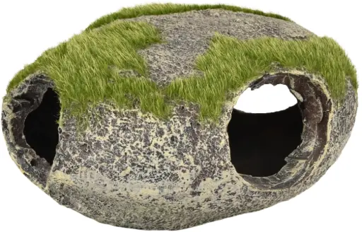 PIEDRA REDONDA CON AGUJEROS Y MUSGO