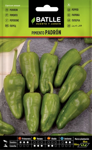 PIMIENTO PADRON