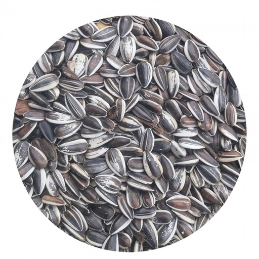 PIPAS AGAPORNIS 500 GRS