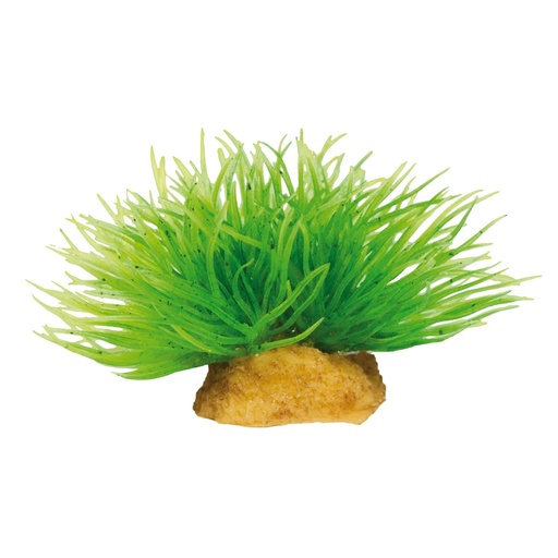 PLANTA MAGIC MOD 1X3 UNDS