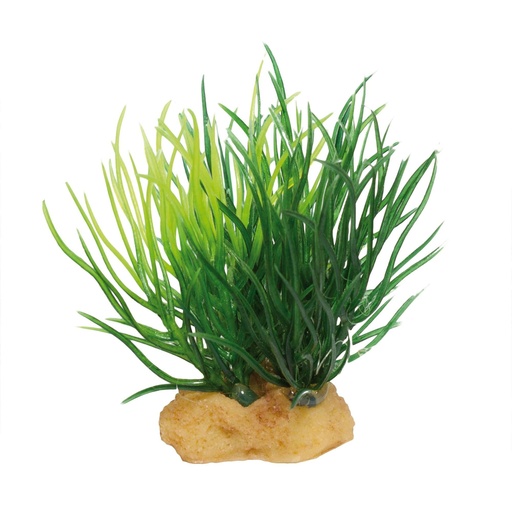 PLANTA MAGIC MOD. 2X3 UNDS