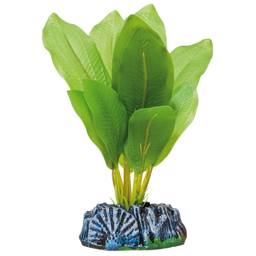 PLANTA PLAST. ECHINODORUS 14 CMS