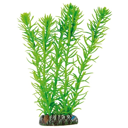 PLANTA PLASTICO EGERIA 20 CMS