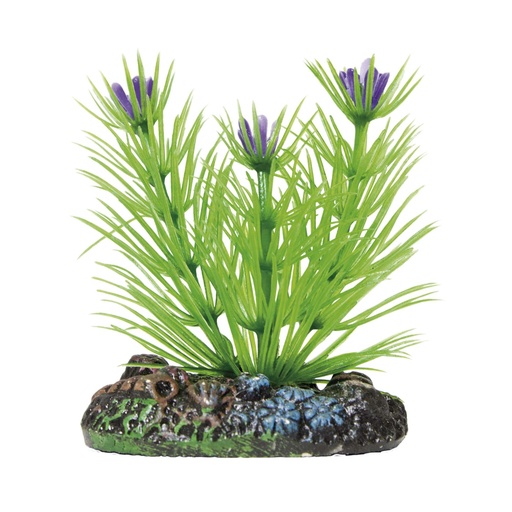 PLANTA PLASTICO LIMNOPHILA 6 CMS