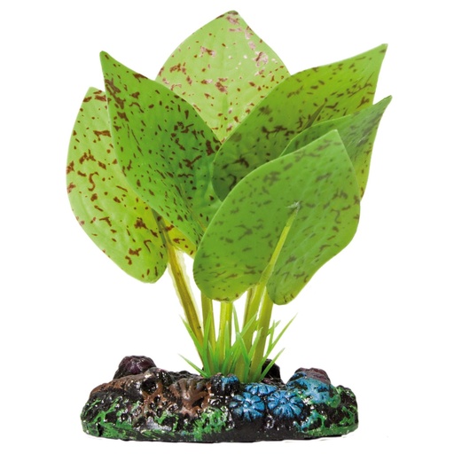 PLANTA PLASTICO NENUFAR MOTEADO 7 CMS