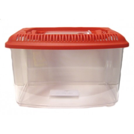 TRANSPORTIN PECES 2 