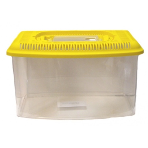 TRANSPORTIN PECES 3 