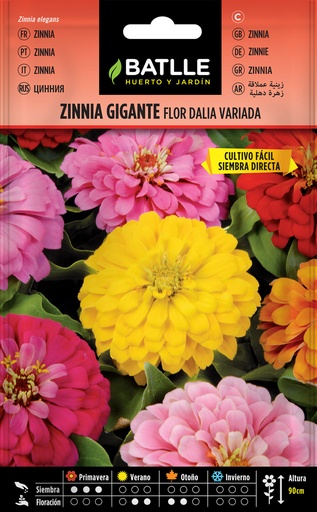 ZINNIA GIGANTE FLOR DALIA VARIADA