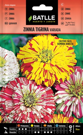 ZINNIA TRIGINIA VARIADA