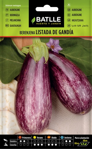 BERENJENA LISTADA DE GANDIA