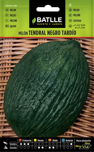 MELON TENDRAL NEGRO TARDIO