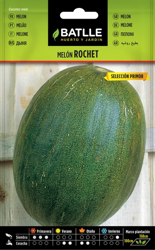 MELON ROCHET