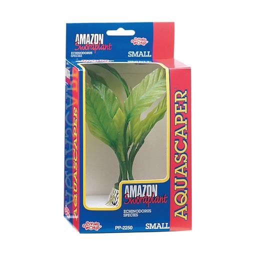 PLANTA AMAZON SWORD