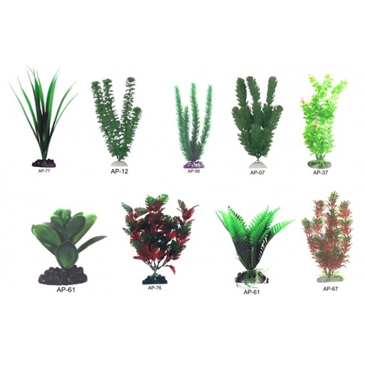 PLANTA PLASTICO SURTIDA 