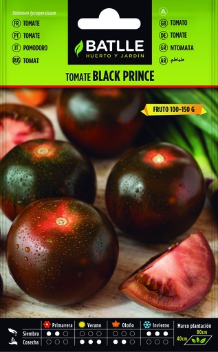 TOMATE BLACK PRINCE