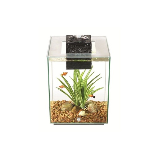 ACUARIO FLUVAL CHI 19 LITROS