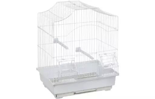 JAULA LAMPUNG BLANCA