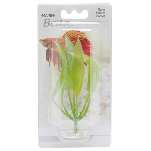 PLANTA AMAZON SWORD