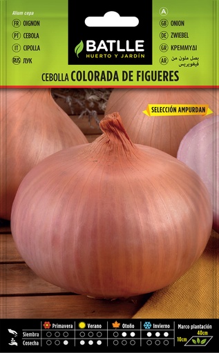 CEBOLLA COLORADA DE FIGUERES 