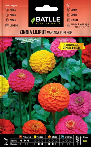 ZINNIA LILIPUT VARIADA POM POM