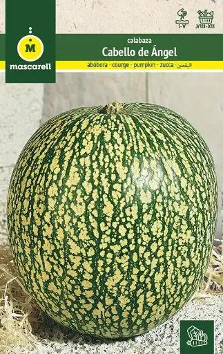 CALABAZA CABELLO DE ANGEL