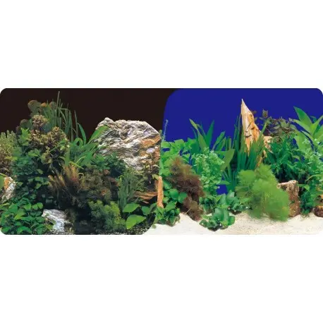 LAMINA FONDO DOBLE PLANTAS CON ROCA