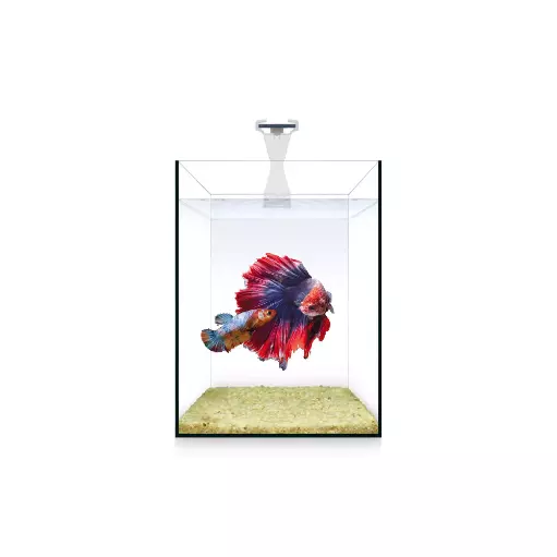 KIT NANO NATURE 4 L