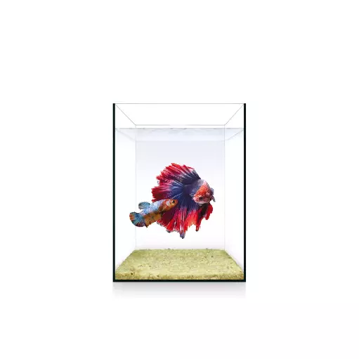 URNA NANO NATURE 4 L