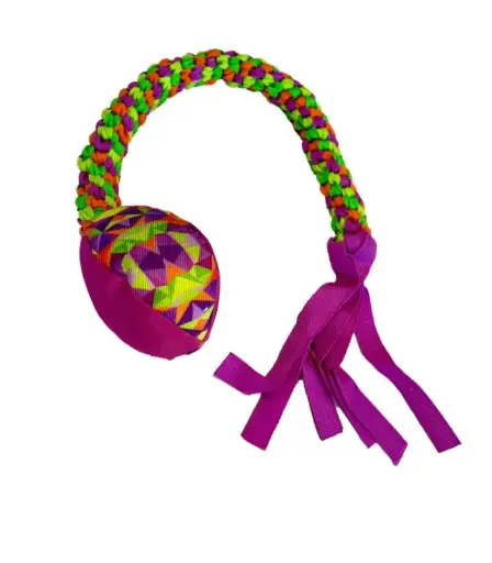 SERPIENTE MULTICOLOR