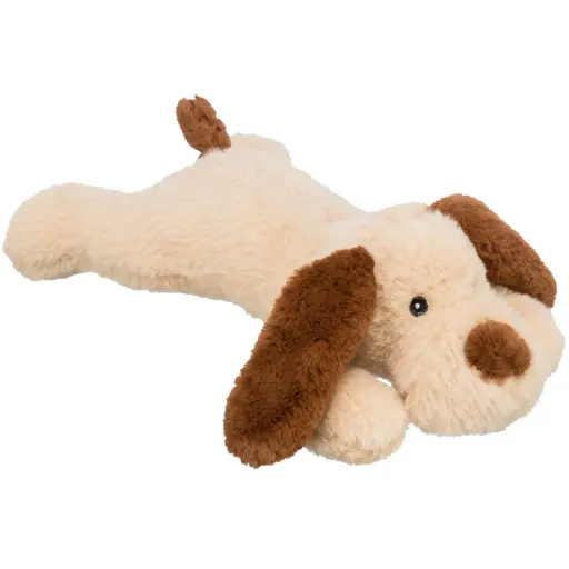 PERRITO BENNY