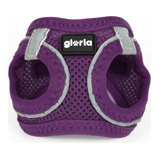ARNÉS/VESTIDO AIR MESH TREK STAR MORADO XXXS