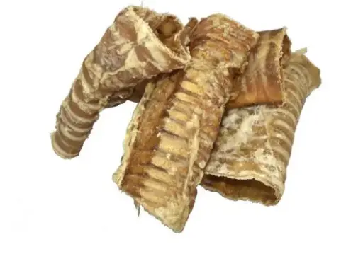 TRAQUEA 12 CMS 1 UND 